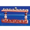 Chanuka Letters Menora 12 Pack