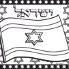 Transparencies 1 Dozen Pack 8.5"X11" Israeli Flag