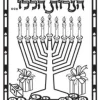 Transparencies 1 Dozen Pack 8.5"X11" Menora