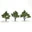 TREES LT. GREEN 3 PK 4-5"QQQ