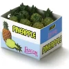 PINEAPPLE CASE 1.75"x1.25"x1.25"